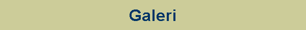 Galeri